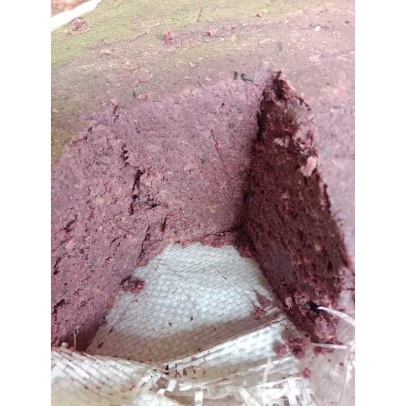 

terasi calok asli wang tobo cengal-selapan