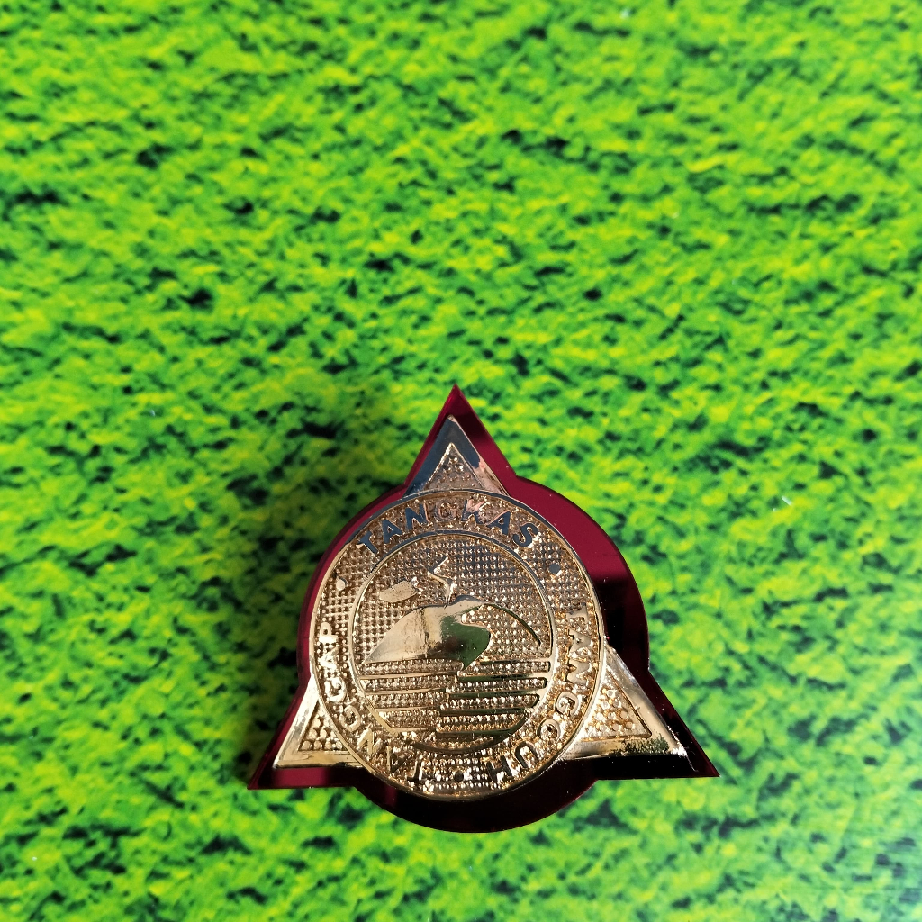 PIN TANGKAS TANGGUH BPBD GOLD AKRILIK LUXURY