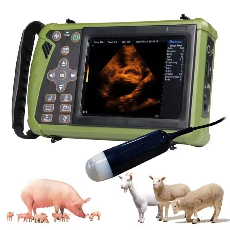 Alat USG hewan/alat tes kehamilan domba,babi,sapi,kuda 5,6 inc
