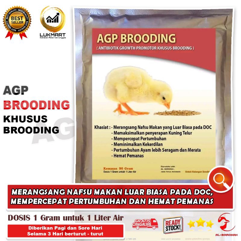 VITAMIN AYAM - VITAMIN ANAK AYAM - AGP BROODING - AGP BRODING - OBAT AYAM - SUPLEMEN AYAM - VITAMIN 