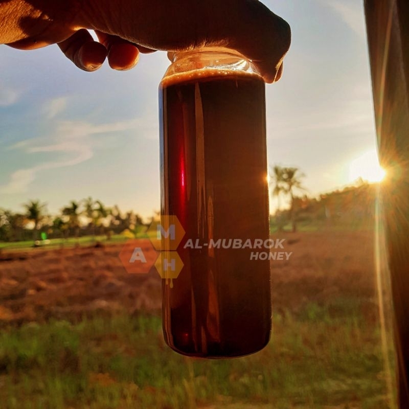 

MADU HUTAN A MURNI ASLI 100% | SANADNYA JELAS | 600gr