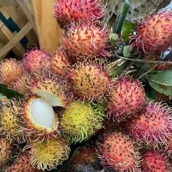 

Rambutan