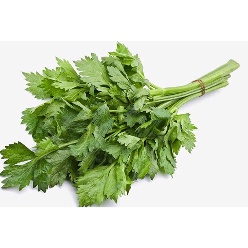 

Daun Seledri Fresh 500 gram Segar