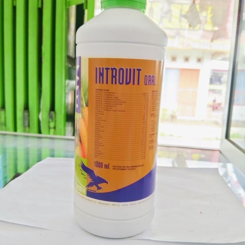 introvit Oral 1 liter Multivitamin dan asam amino kambing, sapi, Ayam