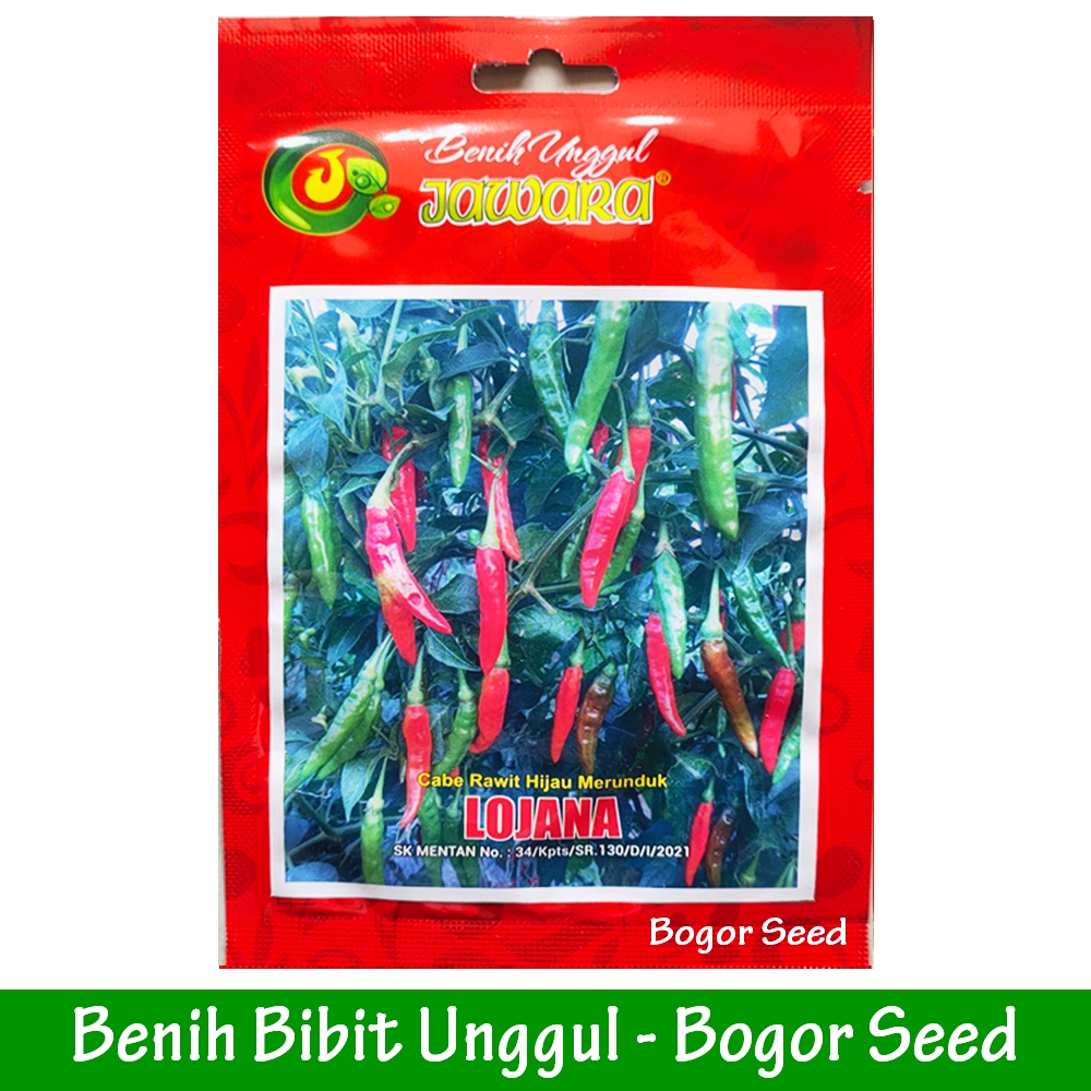 Bibit Cabe Rawit Hijau Super Unggul LOJANA - Benih Cabe Rawit Super