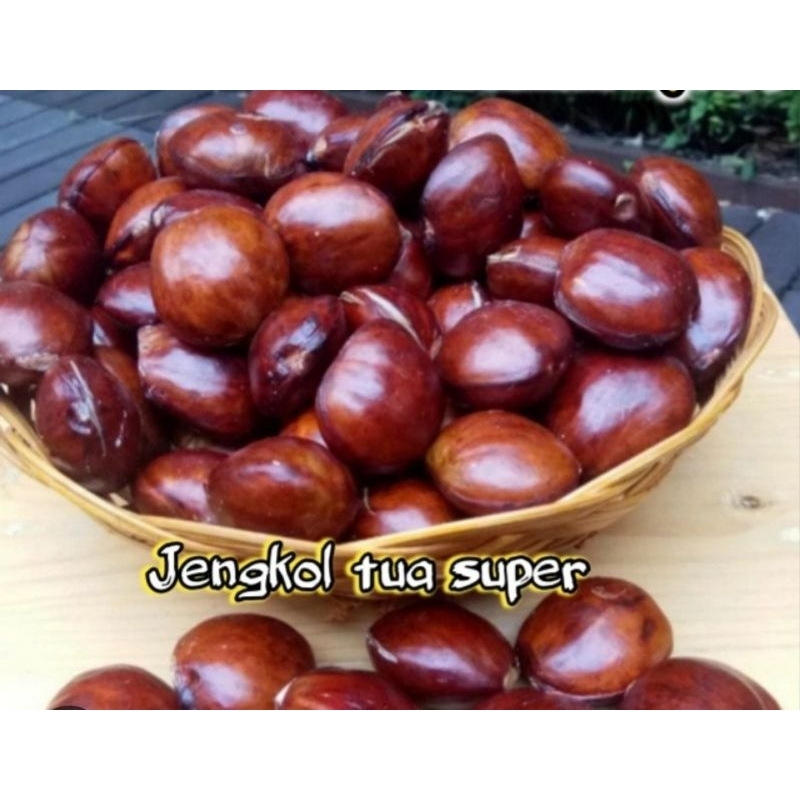 

jengkol tua 1 kg jengkol super tua 1 kg asli Banten