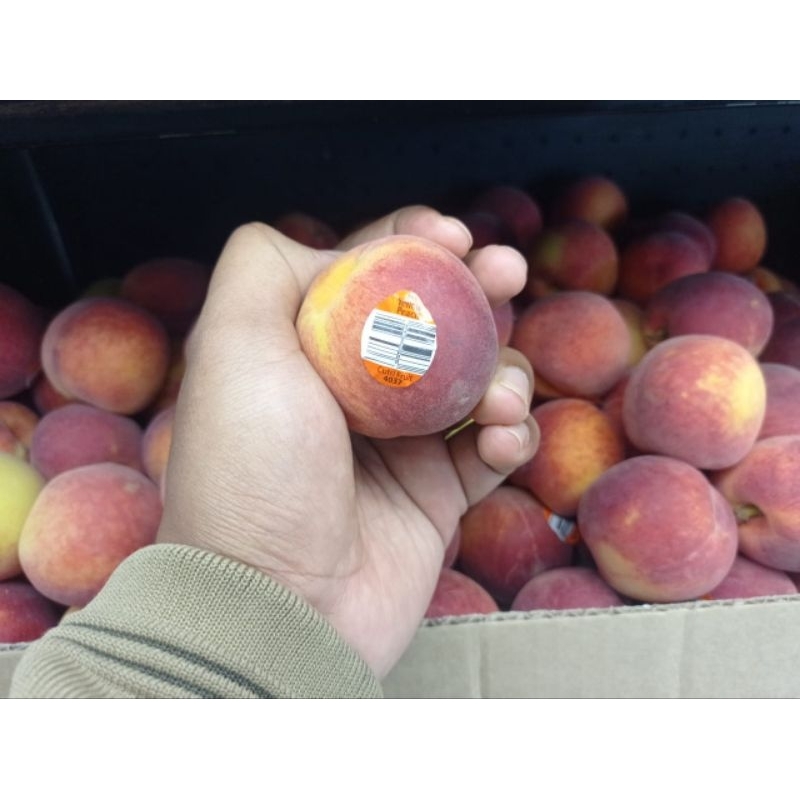 

BUAH PEACH YELLOW PREMIUM IMPORT ASLI 1 KG