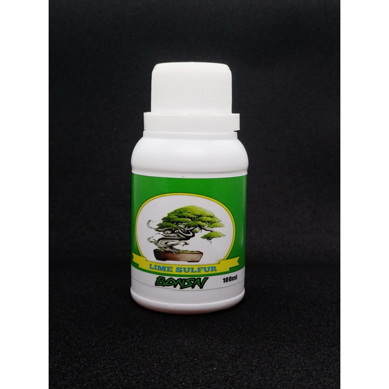 LIME SULFUR BONSAI BEST PREMIUM IMPORT CULITY WARNA PUTIH