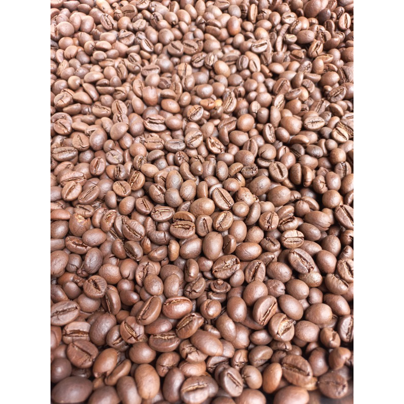 

Roast Bean Robusta Temanggung || Mandalo coffee