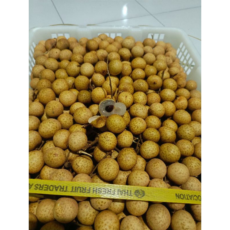 

Klengkeng Label Merah 1krat -+ 12kg