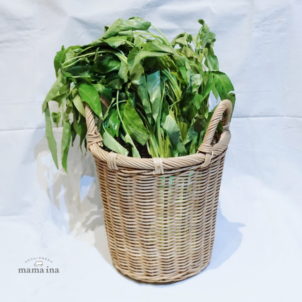 

Kangkung