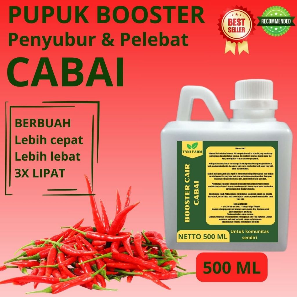 Pupuk Cabai Agar Buah Lebat dan Berat / Pupuk Cabai / Pupuk Cabai Baru Tanam / Pupuk Cabai Cair
