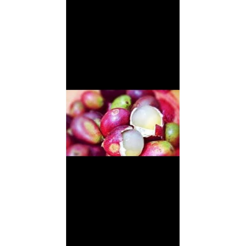 

Buah Matoa