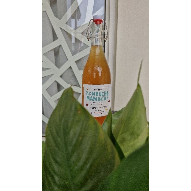 

KOMBUCHA MAMACHA