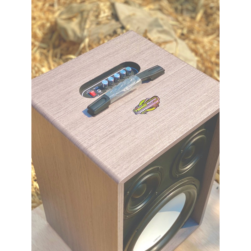 DIY Speaker Subwoofer 12 inch