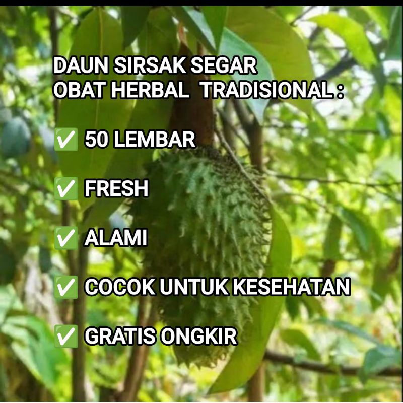 

DAUN SIRSAK SEGAR ORGANIK 50 LEMBAR
