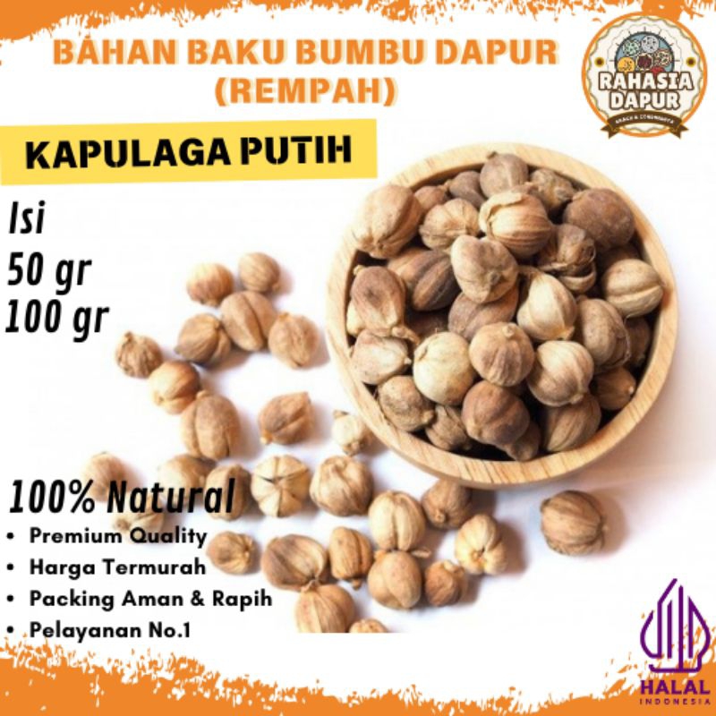 

Bumbu Dapur Bahan (KAPULAGA PUTIH) Rempah Lengkap Murah Grosir Alami Natural 100% Penyedap Rasa Masakan Halal Premium Quality