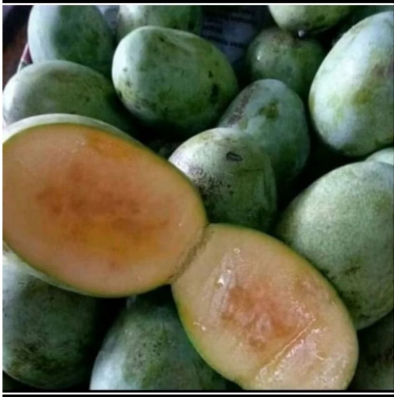 

mangga madu manis