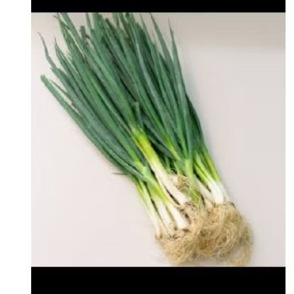 

Daun Bawang 500 gr