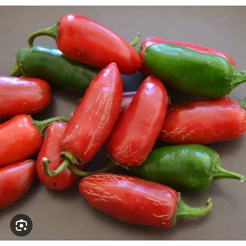 

Biji Cabe Jalapeno