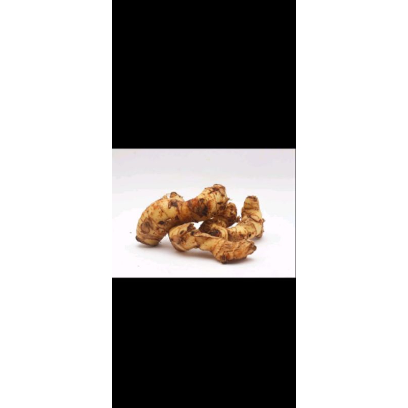 

LENGKUAS 250g