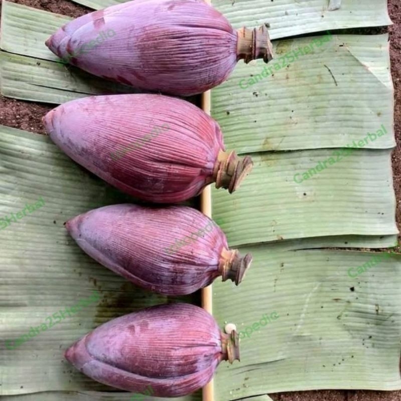 

Jual jantung pisang kepok segar sayurann sedap