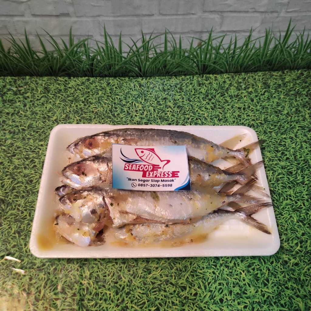 

IKAN KEMBUNG 300 GR SEGAR FRESH TINGGAL MASAK/ TERMURAH / TERLARIS