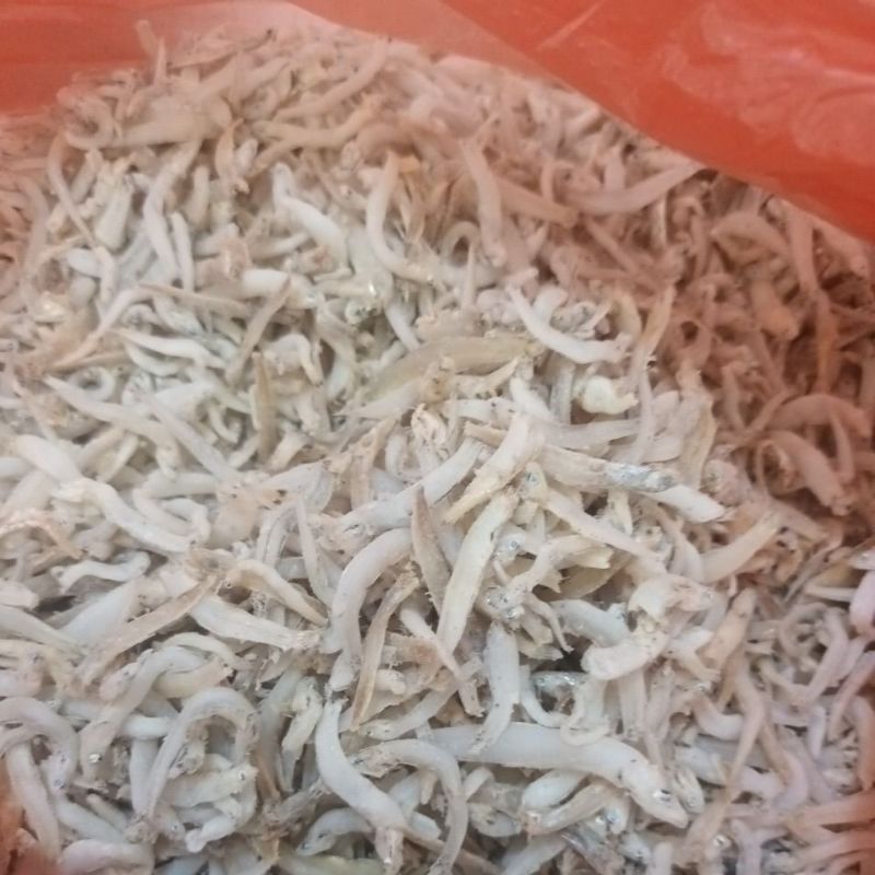 

Teri Medan Campuran sedikit senangin (250Gram)