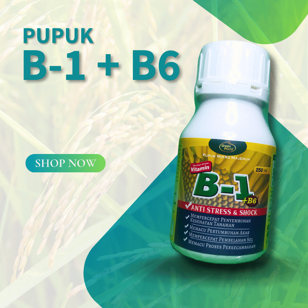 Vitamin B1 + B6 - 250 ml Perangsang akar anti stress tanaman
