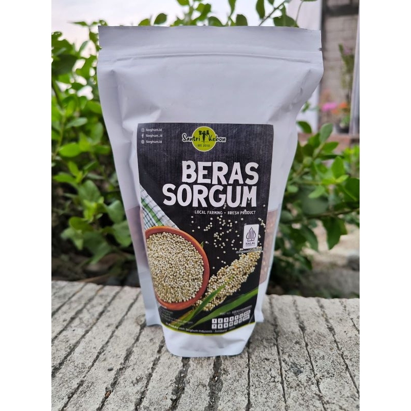 

Beras shorgum putih beras sorgum putih beras cakul gluten beras organik