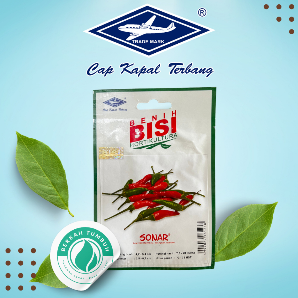 BENIH BIBIT BISI CABE SONAR ISI 100 BUTIR CAP KAPAL TERBANG