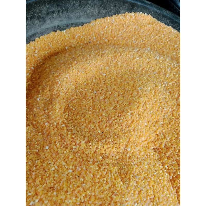 

Termurah Beras Jagung Diabetes asli madura kemasan 500gram