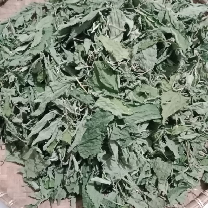 

daun kirinyuh atau balakacida kering original 500g