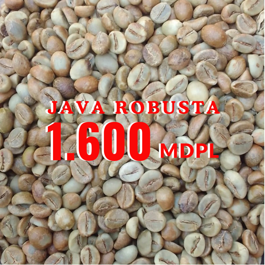 

Biji Kopi Mentah Java Robusta Green Beans 1600 MDPL