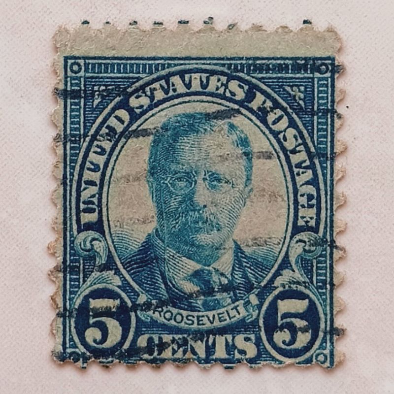 (AA) Perangko Amerika Serikat 1922 1922-1926 Regular Issue - Theodore Roosevelt (1858-1919), 26th Pr