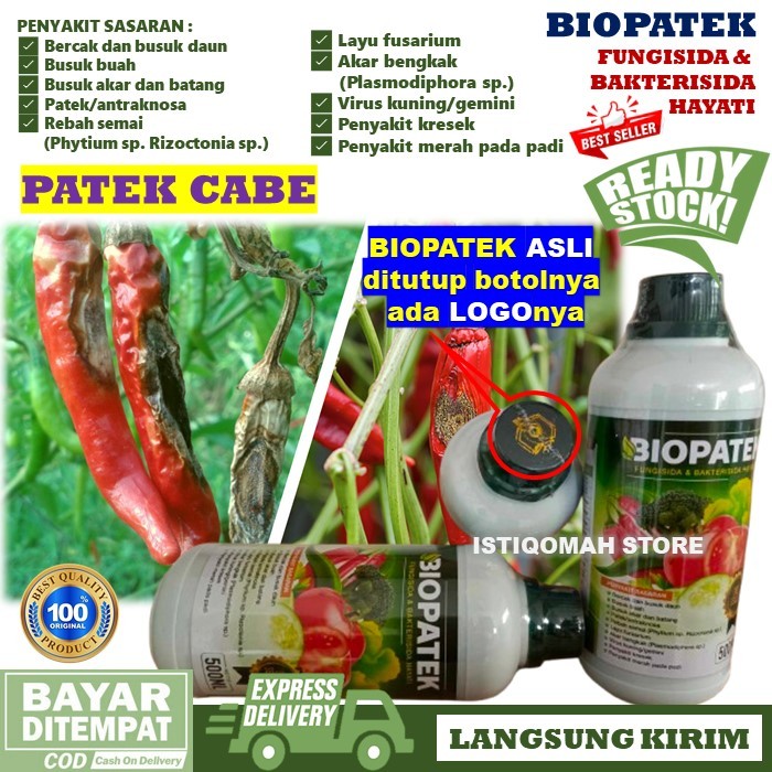 BIOPATEK 500ML Fungisida Hayati untuk Mengatasi Hama Patek / Antraknosa pada semua Jenis Tanaman MUR