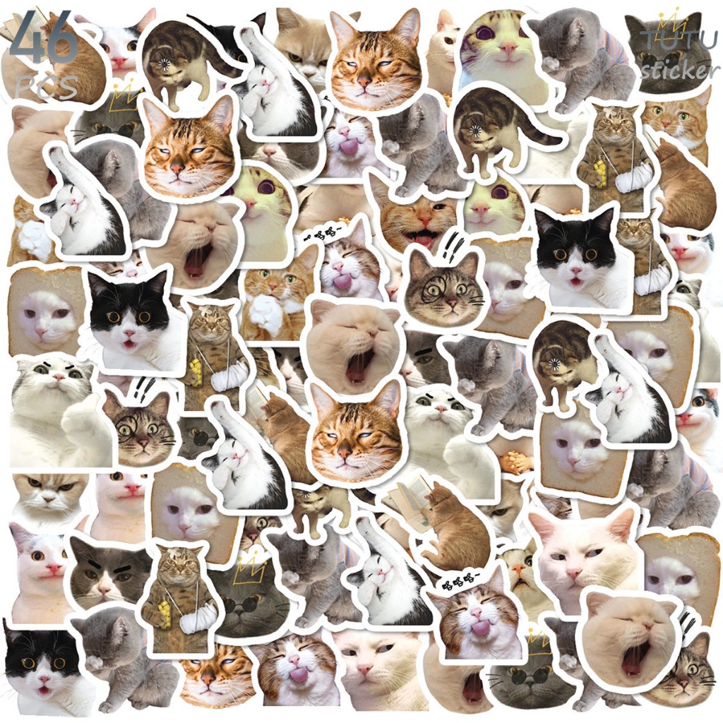 

46 Pcs Aksi Lucu Kucing Lucu, Stiker Dengan Pola Yang Kaya