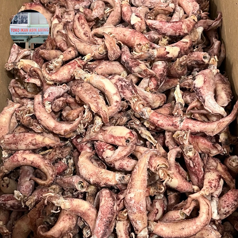 

Cumi Asin Kering / Cumi Jarum Kering