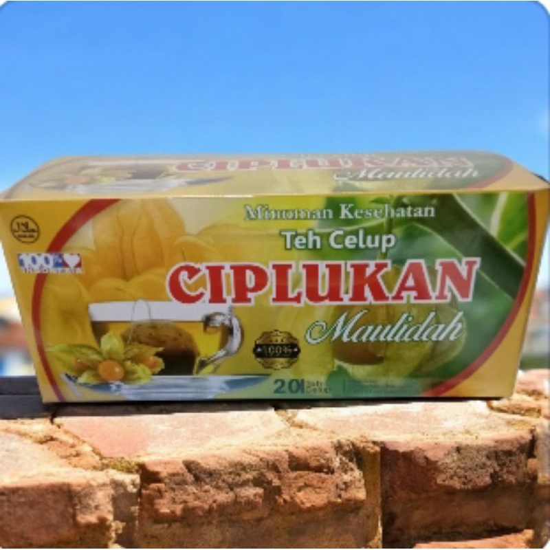 

Teh celup ciplukan/Teh herbal daun ciplukan isi 20 kantong teh
