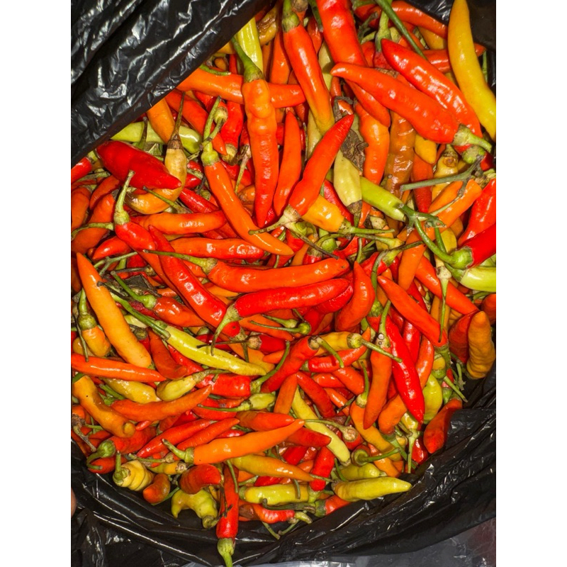 

Cabe rawit merah 500 Gram