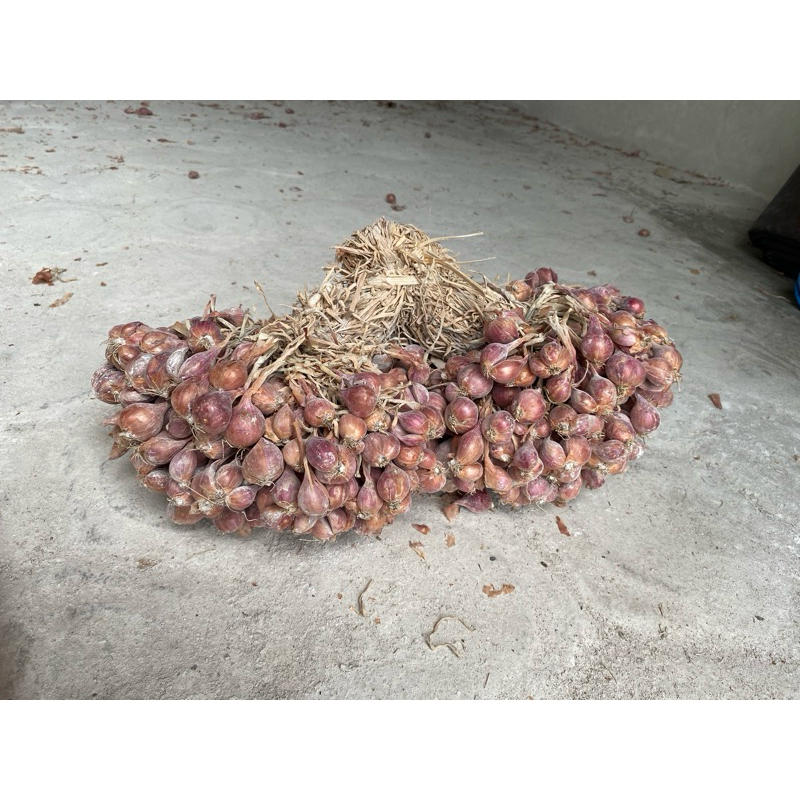 Bibit bawang merah tajuk 1kg COD