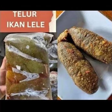 

telur ikan lele per pack barang langka 500gr