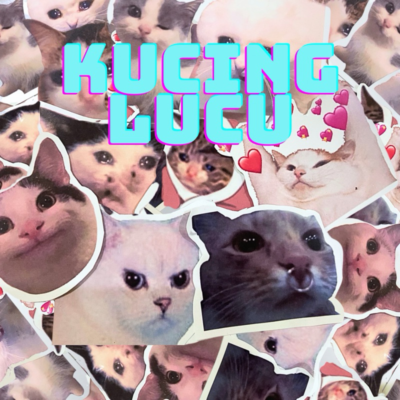 

Stiker Pack Meme Kucing Sedih Lucu Sticker