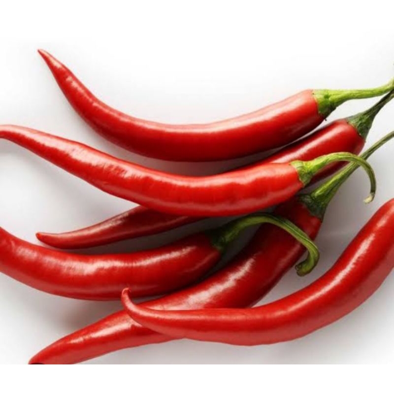 

Cabai merah besar