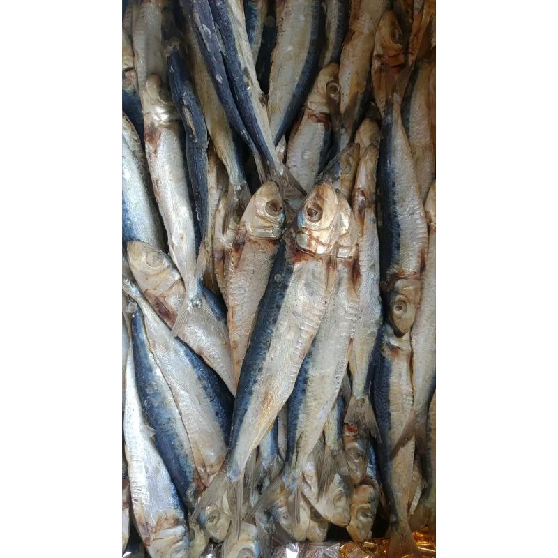 

Ikan asin japu siro 250 gram, Japu Siro