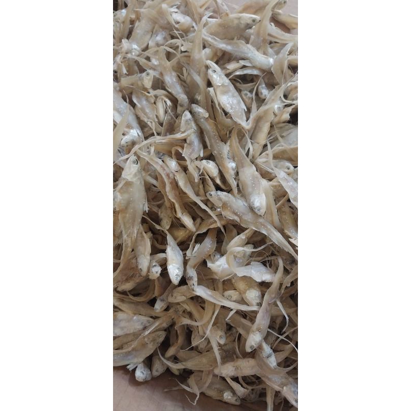 

ikan asin bulu ayam super berkualitas per 100gr