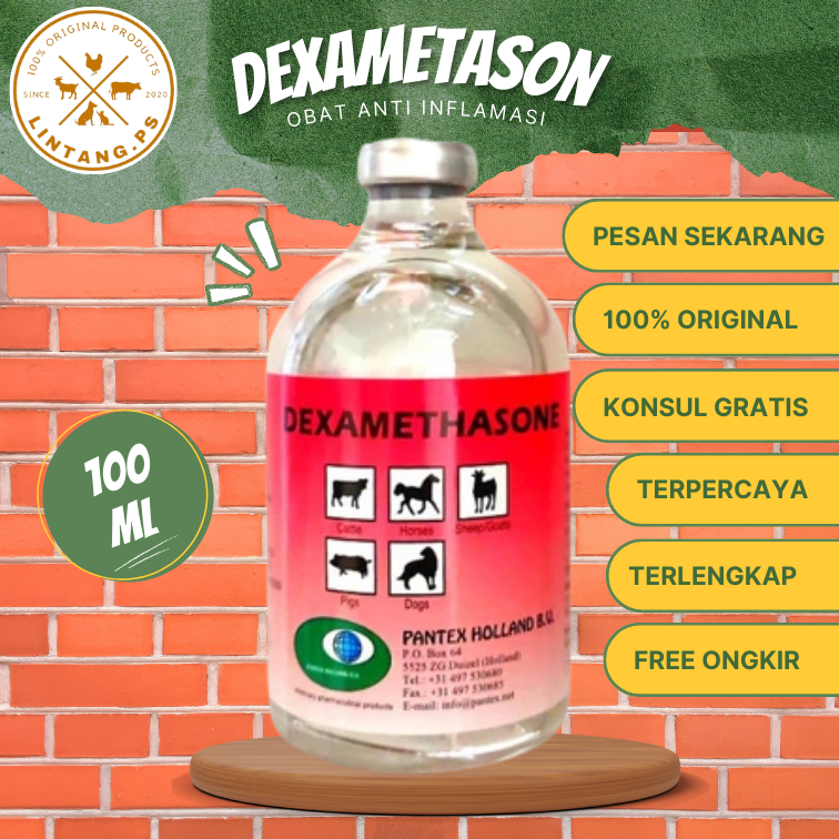 Obat Anti Infamasi 100ml - Dexametason 100ml Injeksi - Pantex