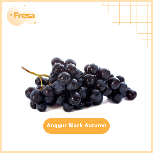 

Anggur Autumn Import Fresh & Sehat | Fresa Mart