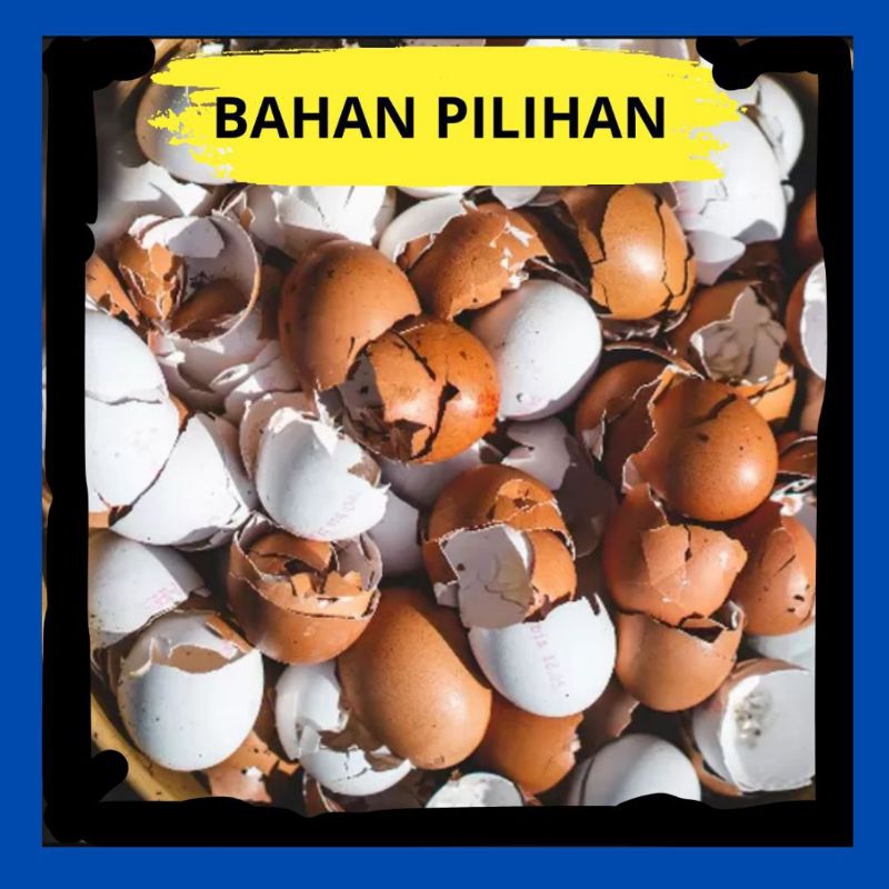 PALING DICARI.. Cangkang Telur Ayam Halus