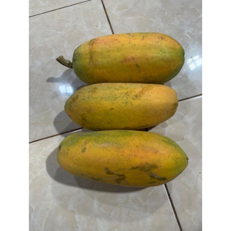 

Buah Pepaya Manis 1,5 kg